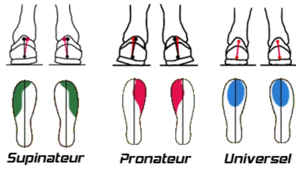 shema-supinator-pronator-universel